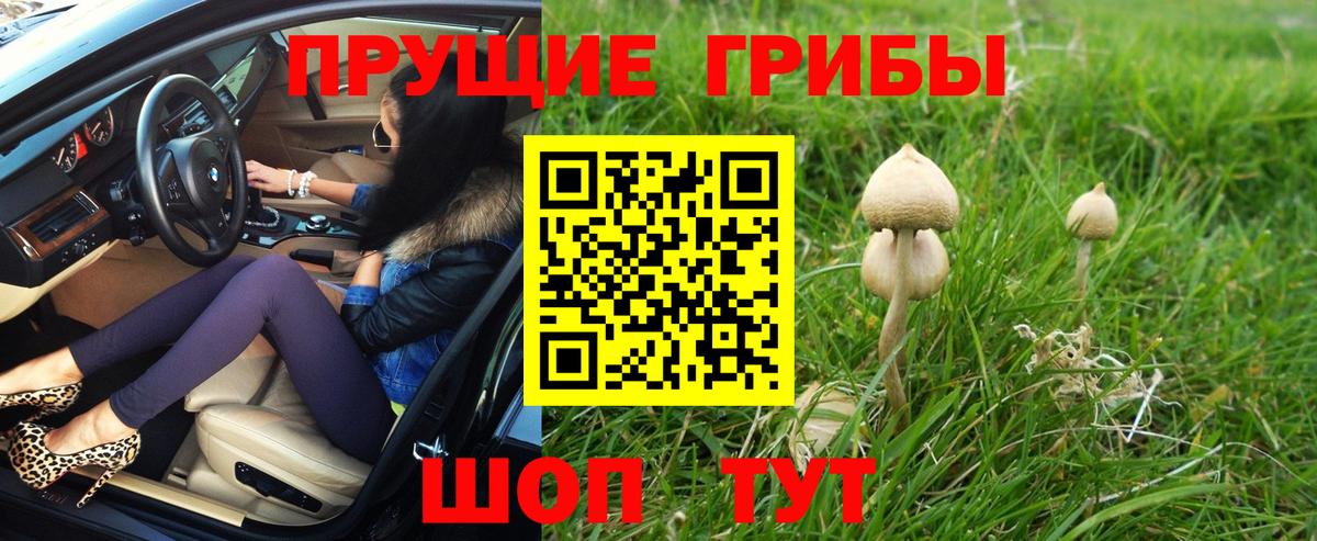 Галлюциногенные грибы мухоморы  Вход с VPN  Псилоцибиновые грибы мухоморы  Можайск 